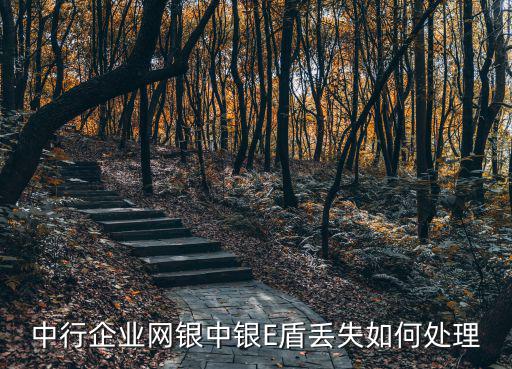 中行企業(yè)網(wǎng)銀中銀E盾丟失如何處理