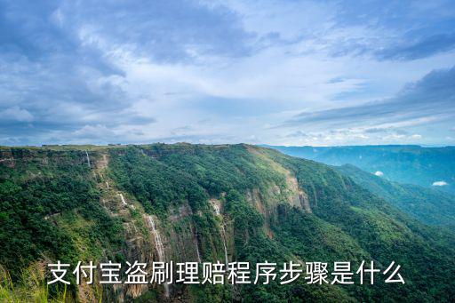 支付寶盜刷理賠程序步驟是什么