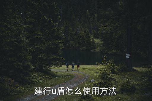 建行u盾怎么使用方法
