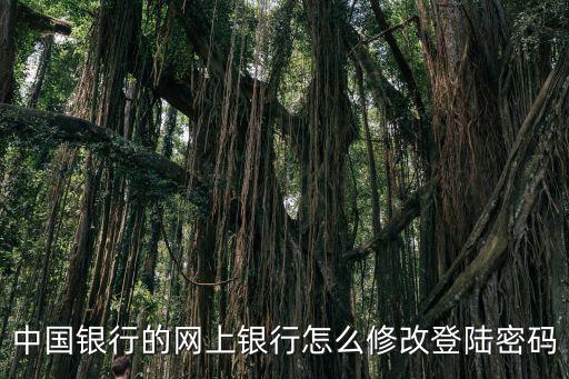 中行網(wǎng)銀密碼怎么修改，中國銀行的網(wǎng)上銀行怎么修改登陸密碼