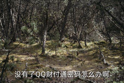 沒(méi)有了QQ財(cái)付通密碼怎么辦啊