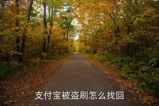 支付寶被盜刷怎么找回