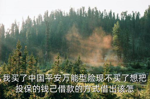 我買了中國平安萬能型險現(xiàn)不買了想把投保的錢己借款的方式借出該怎