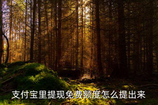 支付寶500額度怎么提現(xiàn)，支付寶上面的剩余免費額度怎么提現(xiàn)