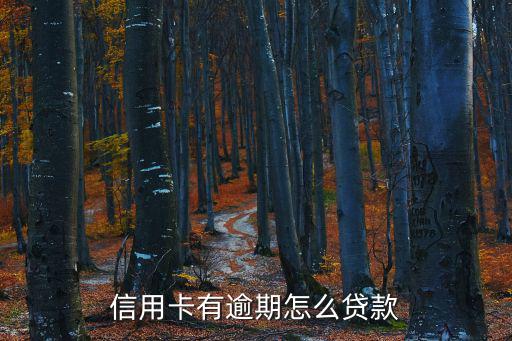 信用卡預(yù)期貸款怎么辦，信用卡有逾期怎么貸款