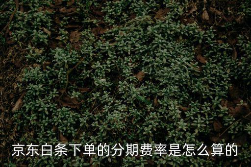 白條賬單分期利息怎么算，京東打白條怎么算的6000元怎么分期分期后利息怎么算懂的幫我