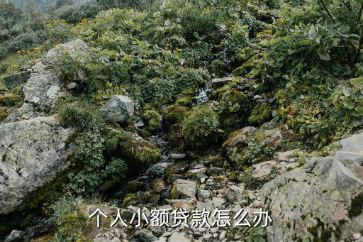 個人小額貸款怎么辦