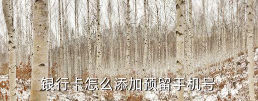 銀行卡怎么添加預(yù)留手機(jī)號(hào)