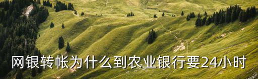網(wǎng)銀轉帳為什么到農業(yè)銀行要24小時
