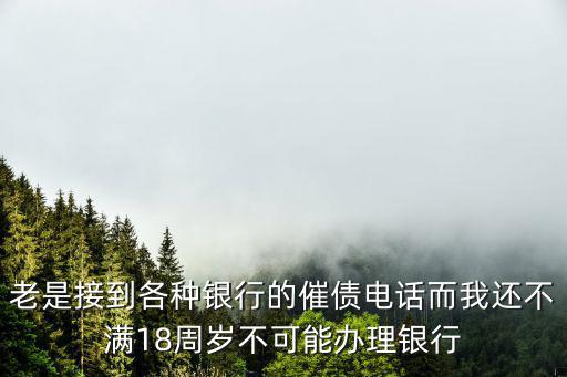 老是接到各種銀行的催債電話而我還不滿18周歲不可能辦理銀行