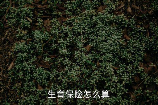 怎么算生育保險(xiǎn)，生育保險(xiǎn)怎么算