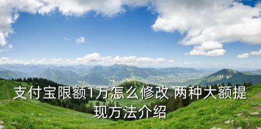 支付寶限額1萬怎么修改 兩種大額提現(xiàn)方法介紹