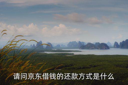 請(qǐng)問京東借錢的還款方式是什么