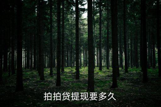 拍拍貸提現(xiàn)要多久
