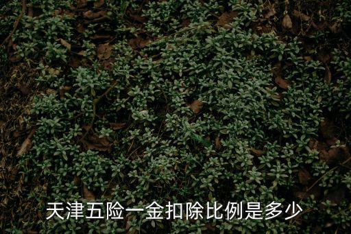 天津五險(xiǎn)一金扣除比例是多少