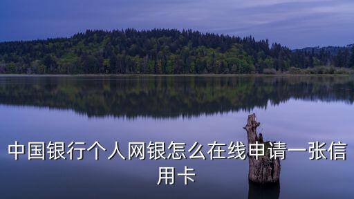 怎么用網(wǎng)銀申請信用卡，中國銀行個(gè)人網(wǎng)銀怎么在線申請一張信用卡