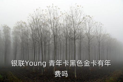 銀聯(lián)Young 青年卡黑色金卡有年費嗎