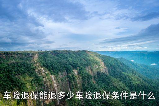 車險(xiǎn)退保能退多少車險(xiǎn)退保條件是什么