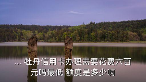 工行牡丹分期卡額度是多少,牡丹分期卡有額度嗎