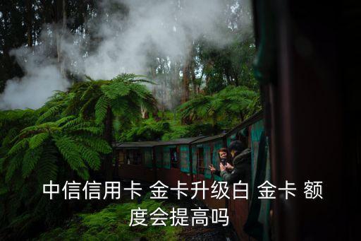 中信i白金卡一般額度多少,中信白金卡權(quán)益有哪些