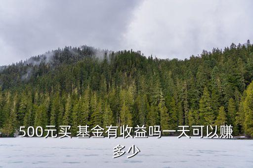 500元買 基金有收益嗎一天可以賺多少