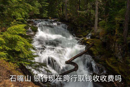  石嘴山 銀行現(xiàn)在跨行取錢收收費(fèi)嗎