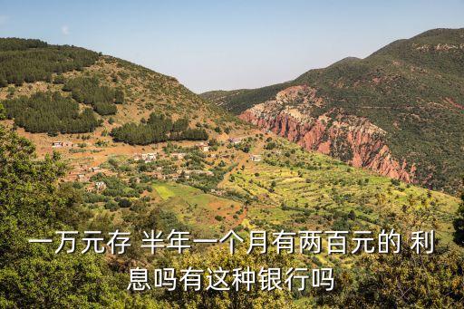 一萬元存 半年一個(gè)月有兩百元的 利息嗎有這種銀行嗎