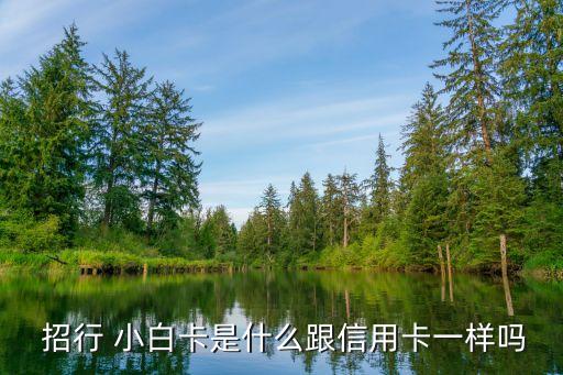 招行小白卡額度是多少