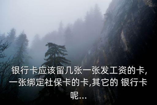 銀行卡多少?gòu)埡?豪華版一共有多少?gòu)埡每?/></a></span><span id=