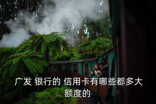 廣發(fā)銀行多少辦白金信用卡