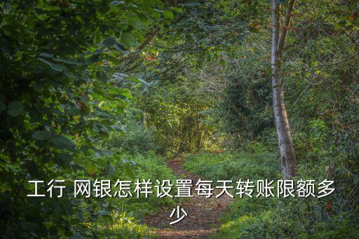  工行 網(wǎng)銀怎樣設(shè)置每天轉(zhuǎn)賬限額多少