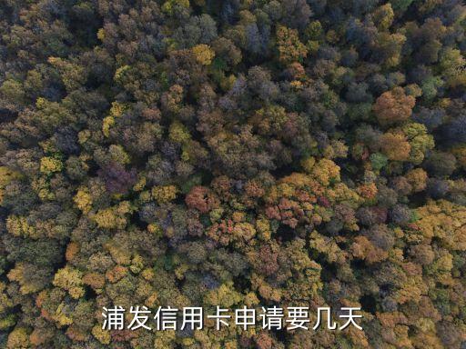 浦發(fā)銀行下卡額度是多少時(shí)間