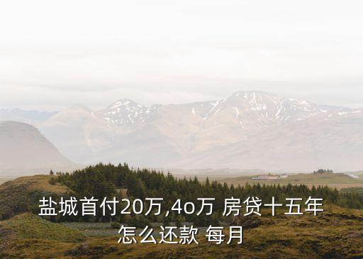 鹽城首付20萬,4o萬 房貸十五年怎么還款 每月