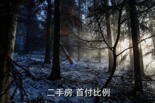  二手房 首付比例