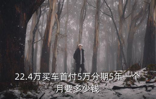 車貸五萬月供多少,車貸三年五萬月供