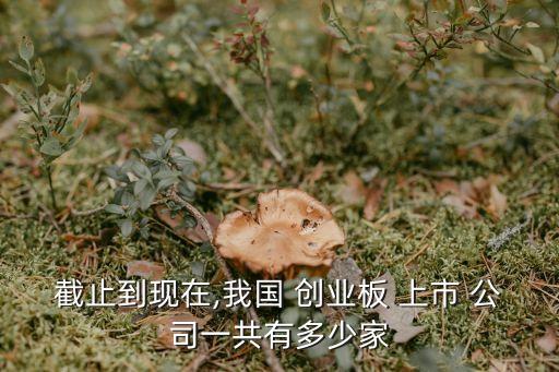 創(chuàng)業(yè)板上市公司多少家,中國創(chuàng)業(yè)板上市公司有多少家