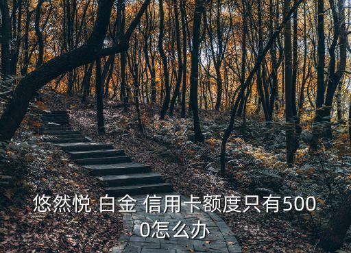 白金悠信用卡上限多少,悠悅健康白金信用卡怎么樣