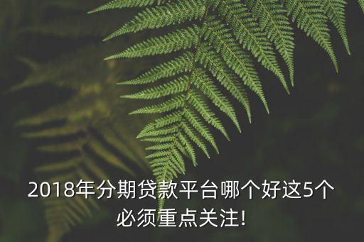 2018年分期貸款平臺(tái)哪個(gè)好這5個(gè)必須重點(diǎn)關(guān)注!