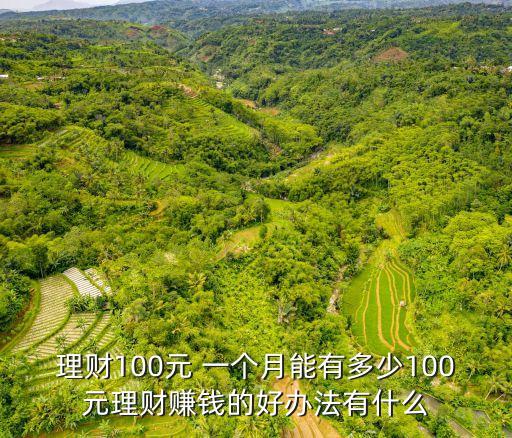 理財(cái)100元 一個(gè)月能有多少100元理財(cái)賺錢的好辦法有什么