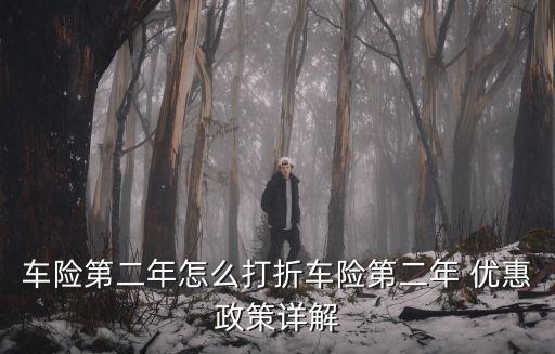 車險(xiǎn)第二年怎么打折車險(xiǎn)第二年 優(yōu)惠政策詳解