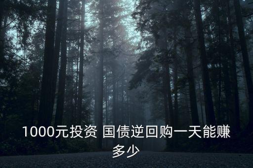 1000元投資 國債逆回購一天能賺多少