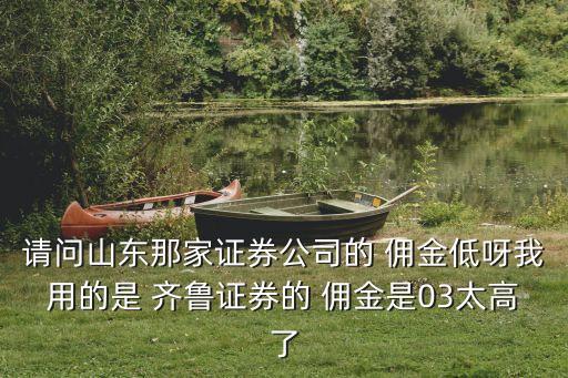 請問山東那家證券公司的 傭金低呀我用的是 齊魯證券的 傭金是03太高了