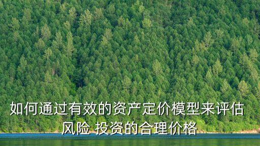 如何通過有效的資產定價模型來評估 風險 投資的合理價格