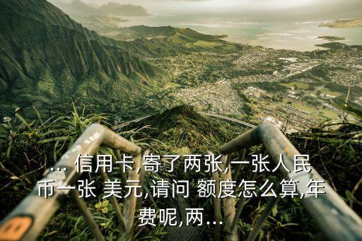 ... 信用卡,寄了兩張,一張人民幣一張 美元,請問 額度怎么算,年費呢,兩...