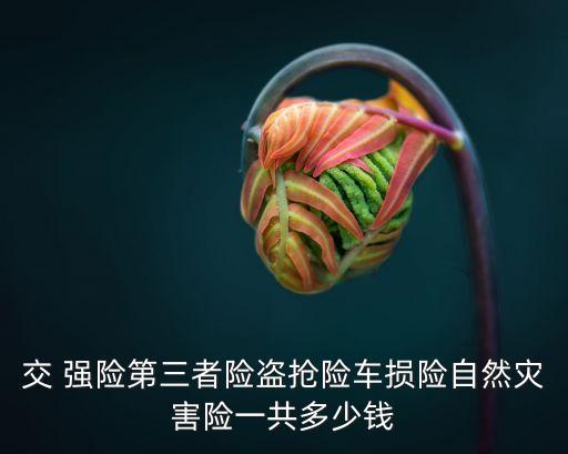 交 強險第三者險盜搶險車損險自然災害險一共多少錢