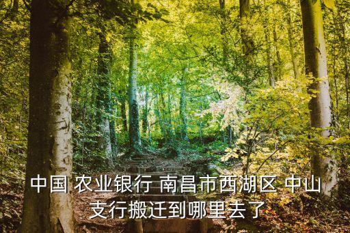 南昌農業(yè)銀行中山支行電話號碼是多少錢,南昌九龍湖農業(yè)銀行電話號碼