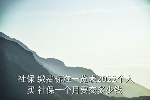  社保 繳費標準一覽表2022個人買 社保一個月要交多少錢