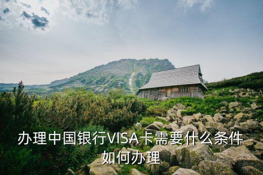 辦理中國(guó)銀行VISA卡需要什么條件如何辦理