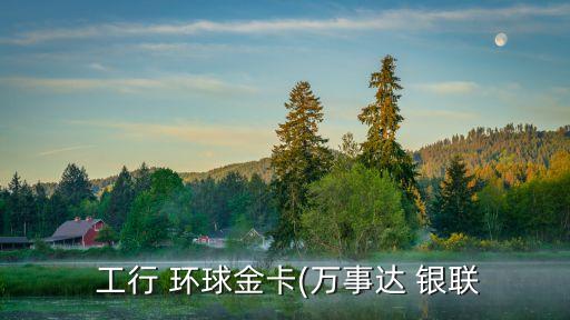  工行 環(huán)球金卡(萬(wàn)事達(dá) 銀聯(lián)