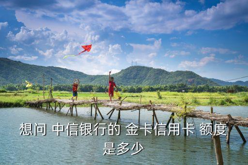 想問 中信銀行的 金卡信用卡 額度是多少